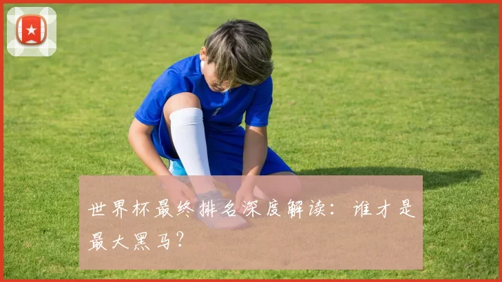 世界杯最终排名深度解读:谁才是最大黑马?