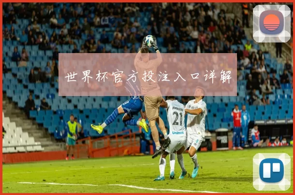 世界杯官方投注入口详解