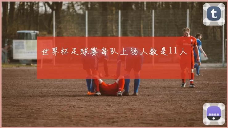 世界杯足球赛每队上场人数是11人