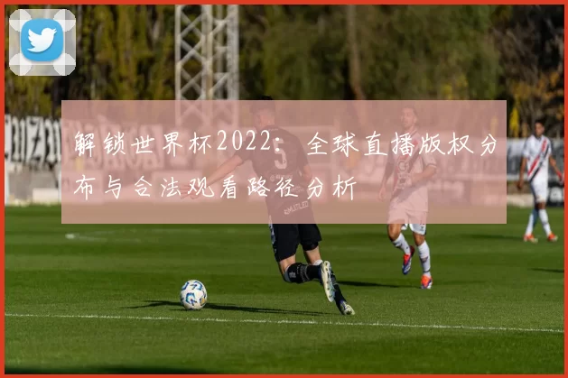 解锁世界杯2022:全球直播版权分布与合法观看路径分析