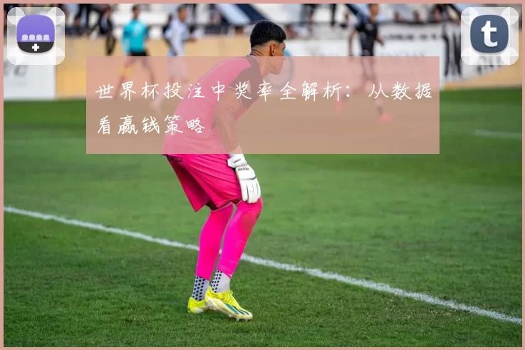 世界杯投注中奖率全解析:从数据看赢钱策略