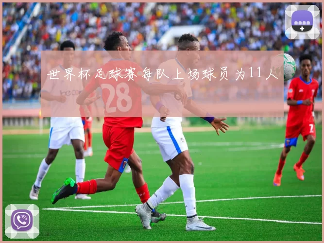 世界杯足球赛每队上场球员为11人