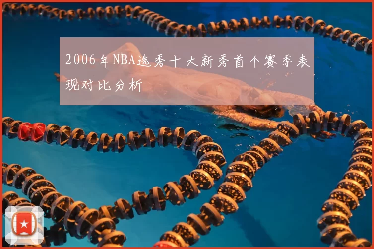 2006年NBA选秀十大新秀首个赛季表现对比分析