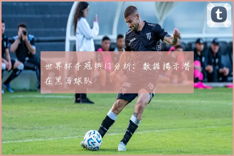 世界杯夺冠热门分析：数据揭示潜在黑马球队
