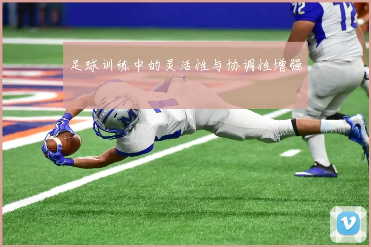足球训练中的灵活性与协调性增强