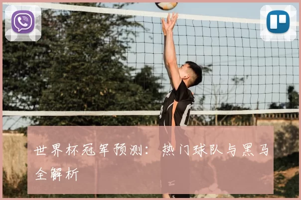 世界杯冠军预测：热门球队与黑马全解析