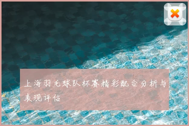 上海羽毛球队杯赛精彩配合分析与表现评估