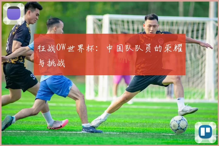 征战OW世界杯：中国队队员的荣耀与挑战