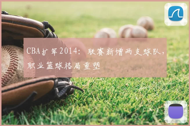 CBA扩军2014:联赛新增两支球队,职业篮球格局重塑
