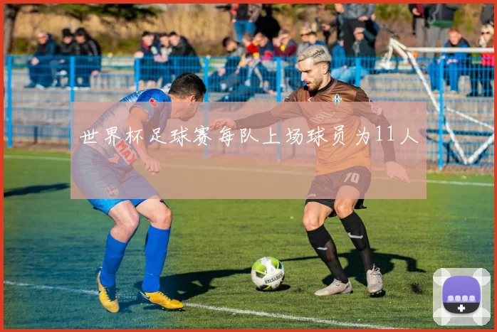 世界杯足球赛每队上场球员为11人