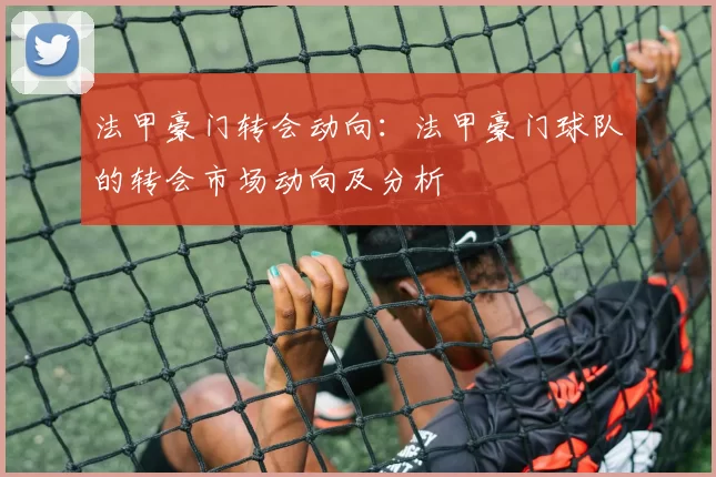 法甲豪门转会动向：法甲豪门球队的转会市场动向及分析