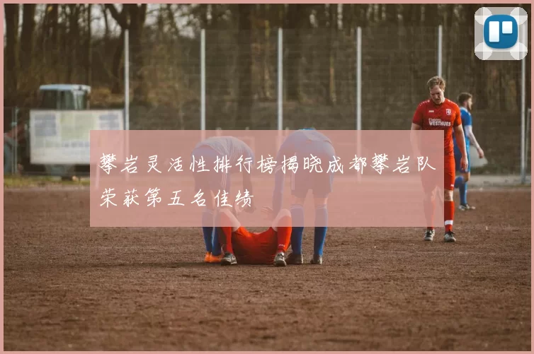 攀岩灵活性排行榜揭晓成都攀岩队荣获第五名佳绩