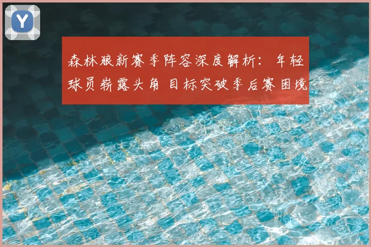 森林狼新赛季阵容深度解析：年轻球员崭露头角 目标突破季后赛困境