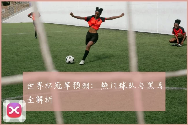 世界杯冠军预测：热门球队与黑马全解析
