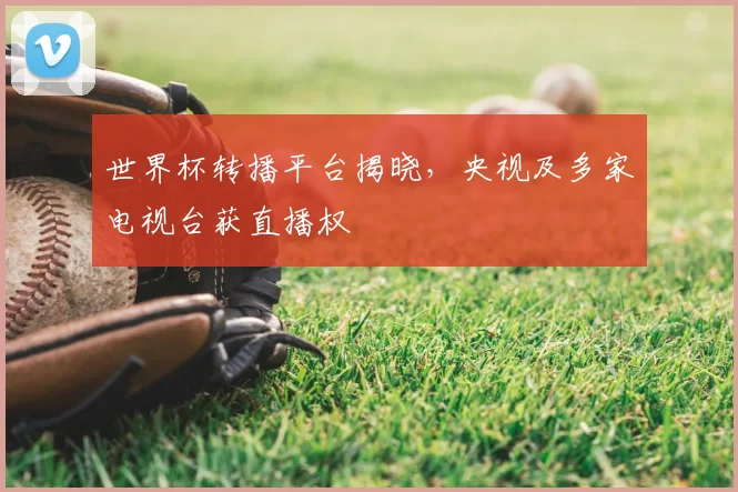 世界杯转播平台揭晓，央视及多家电视台获直播权