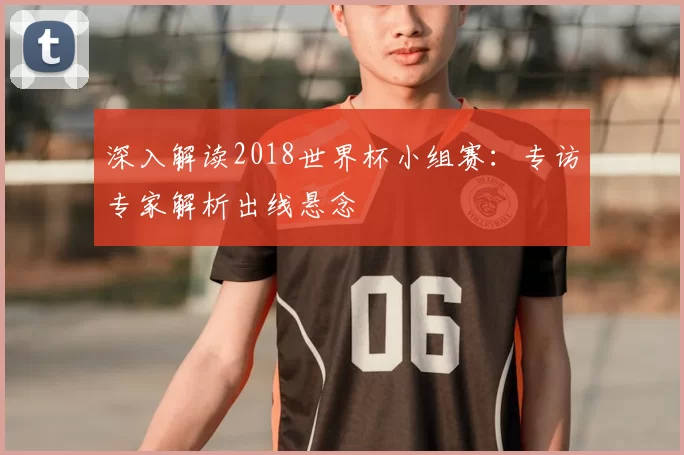 深入解读2018世界杯小组赛:专访专家解析出线悬念