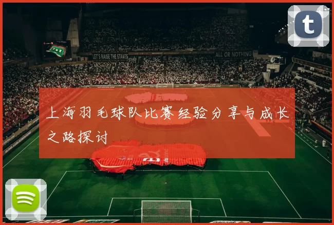 上海羽毛球队比赛经验分享与成长之路探讨