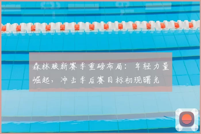 森林狼新赛季重磅布局:年轻力量崛起,冲击季后赛目标初现曙光