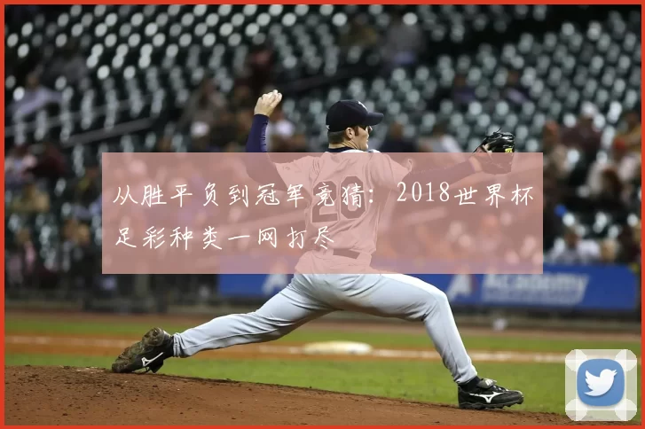 从胜平负到冠军竞猜：2018世界杯足彩种类一网打尽