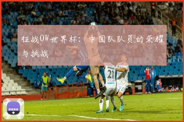 征战OW世界杯：中国队队员的荣耀与挑战