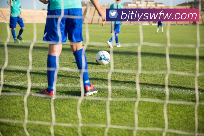 星空体育APP 封面图